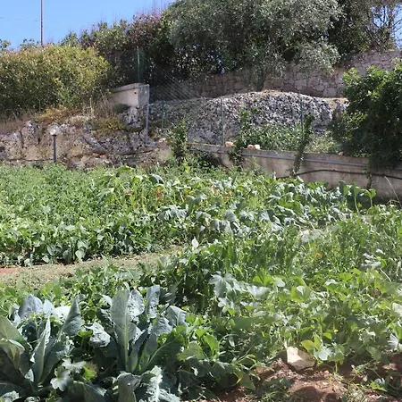 Belvedere Cassano delle Murge